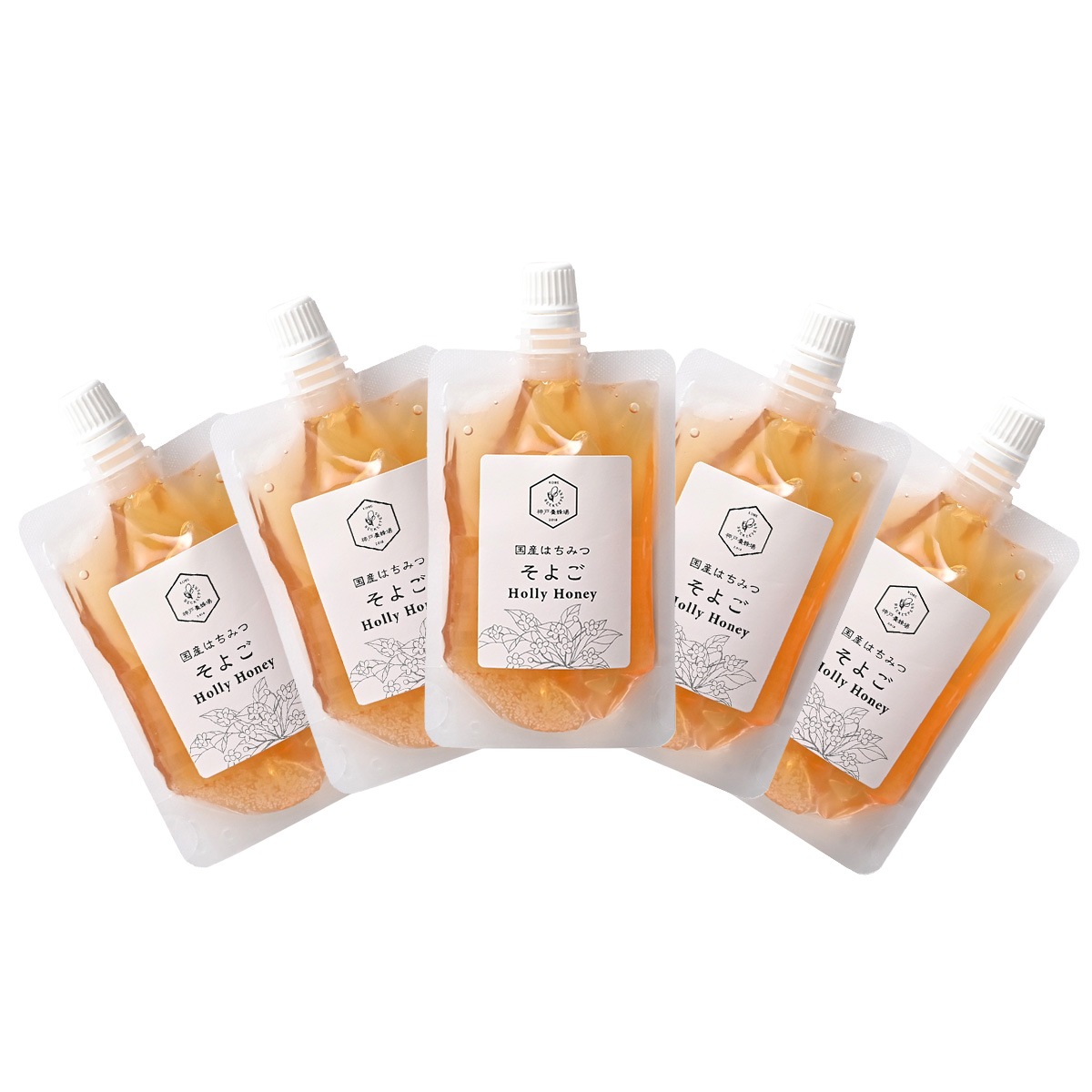 【送料無料】国産そよごはちみつ エコパックセット