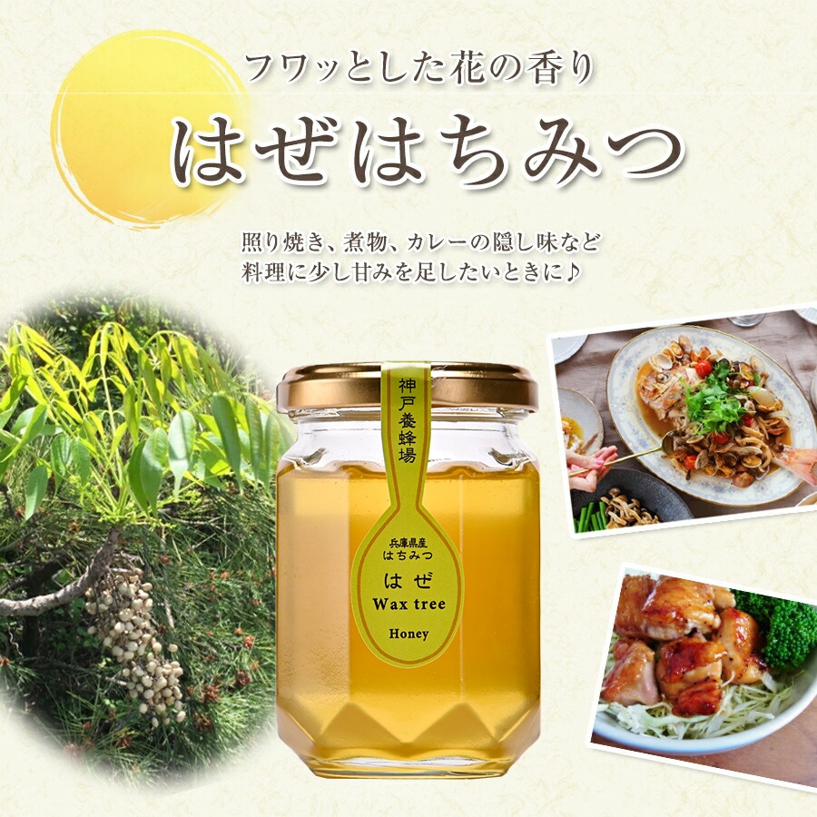 兵庫県産はちみつ160g ３本セット