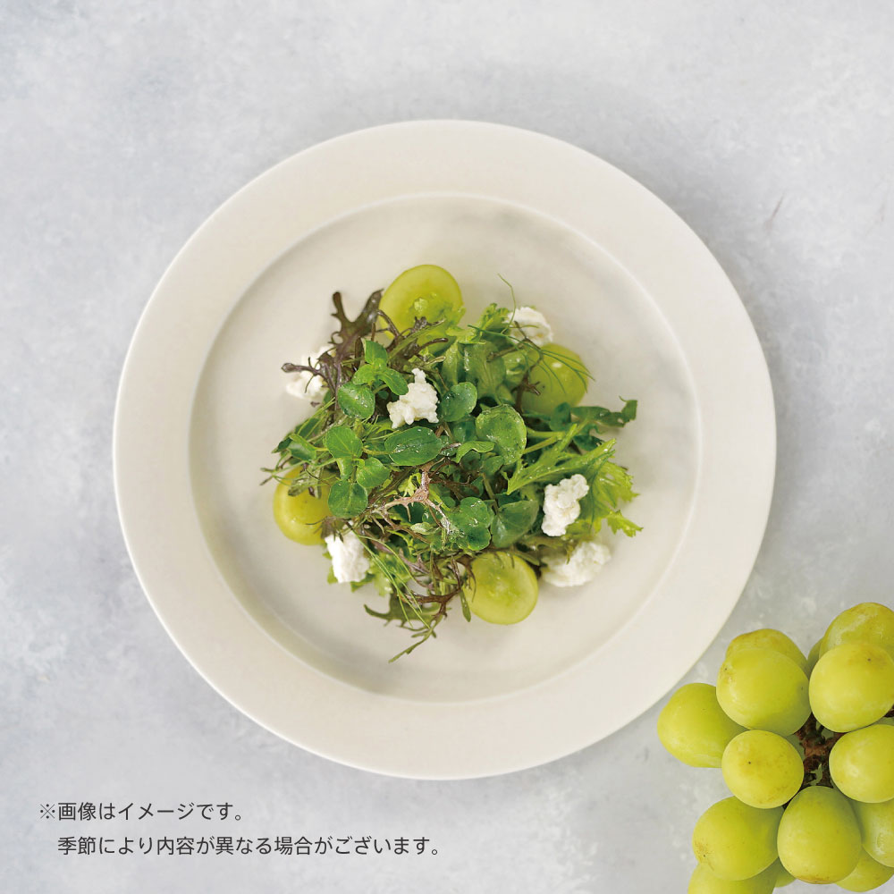 �ե��ߥꥢ������Ź�쥹�ȥ�� color of time ���������å�