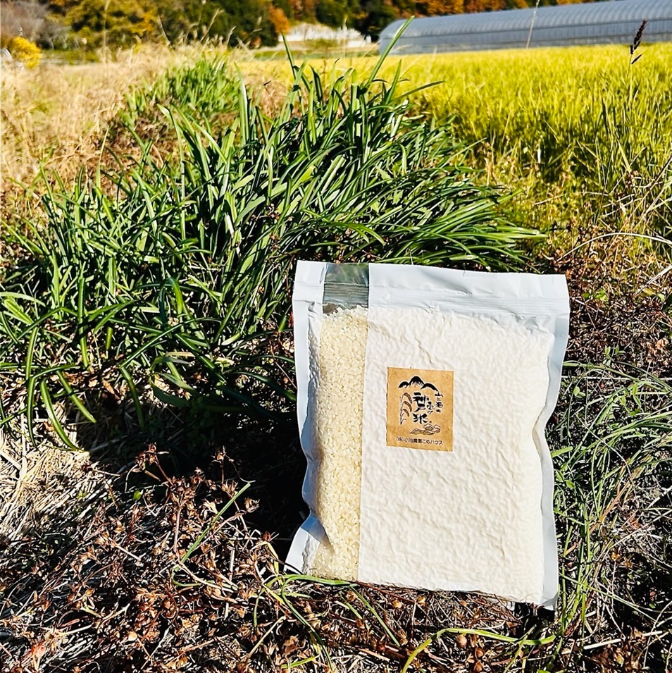 ������ء�Υ�����ˤԤä��ꡦ�����������ƣ���ʡ֤Ԥ��ޤ�ס֤��̤ह��ס֥ҥΥҥ���פʤɡ�