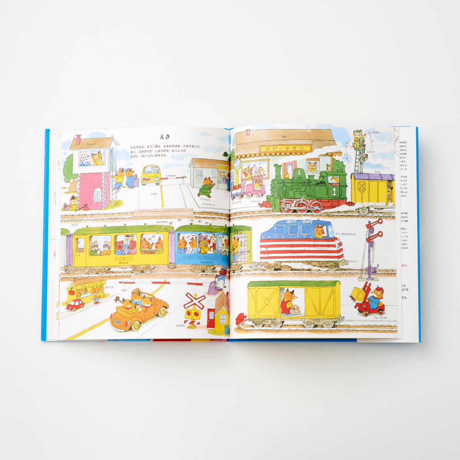 ������꡼��������Τ��Τ�����Τ��ꤨ�ۤ�