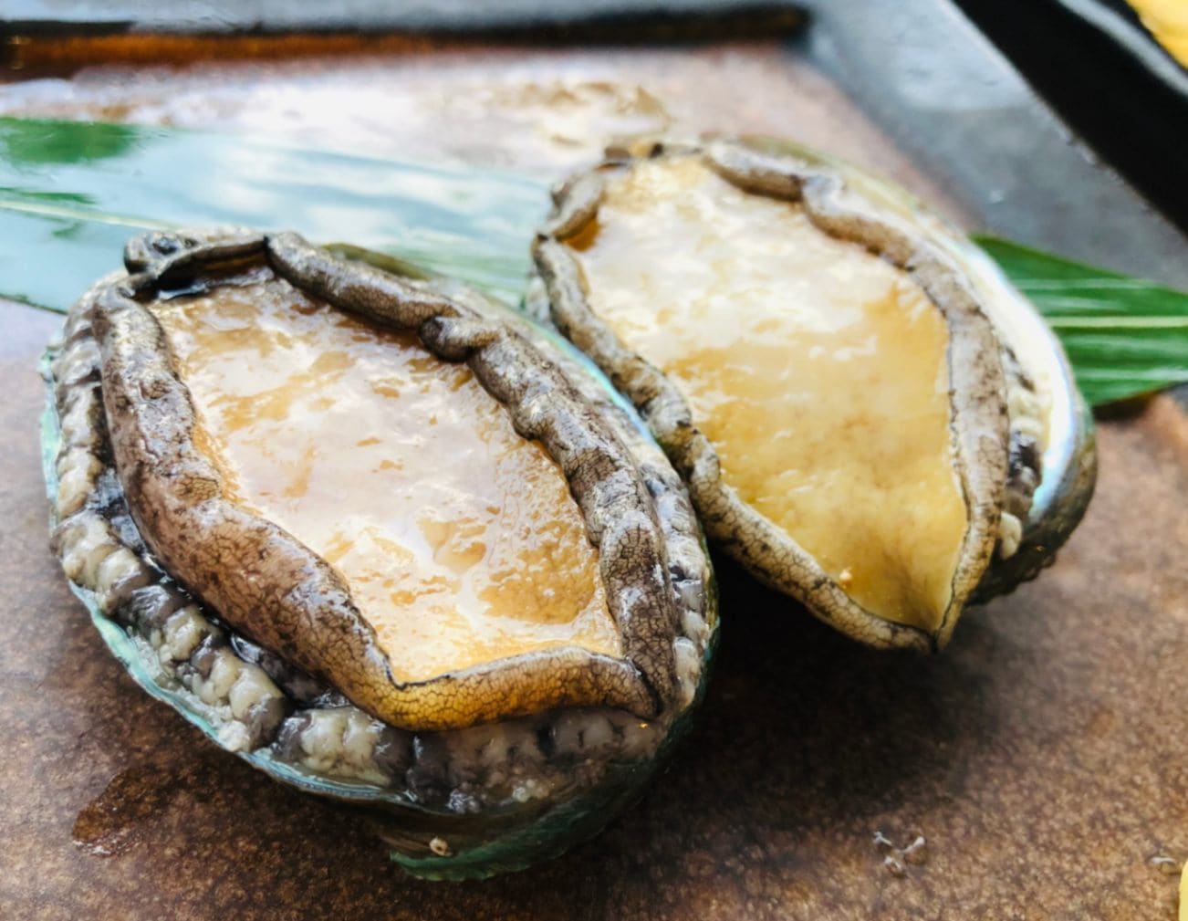 生食OK！南氷洋育ちのあわび　1kg【送料無料】お取り寄せ　ギフト　のし対応