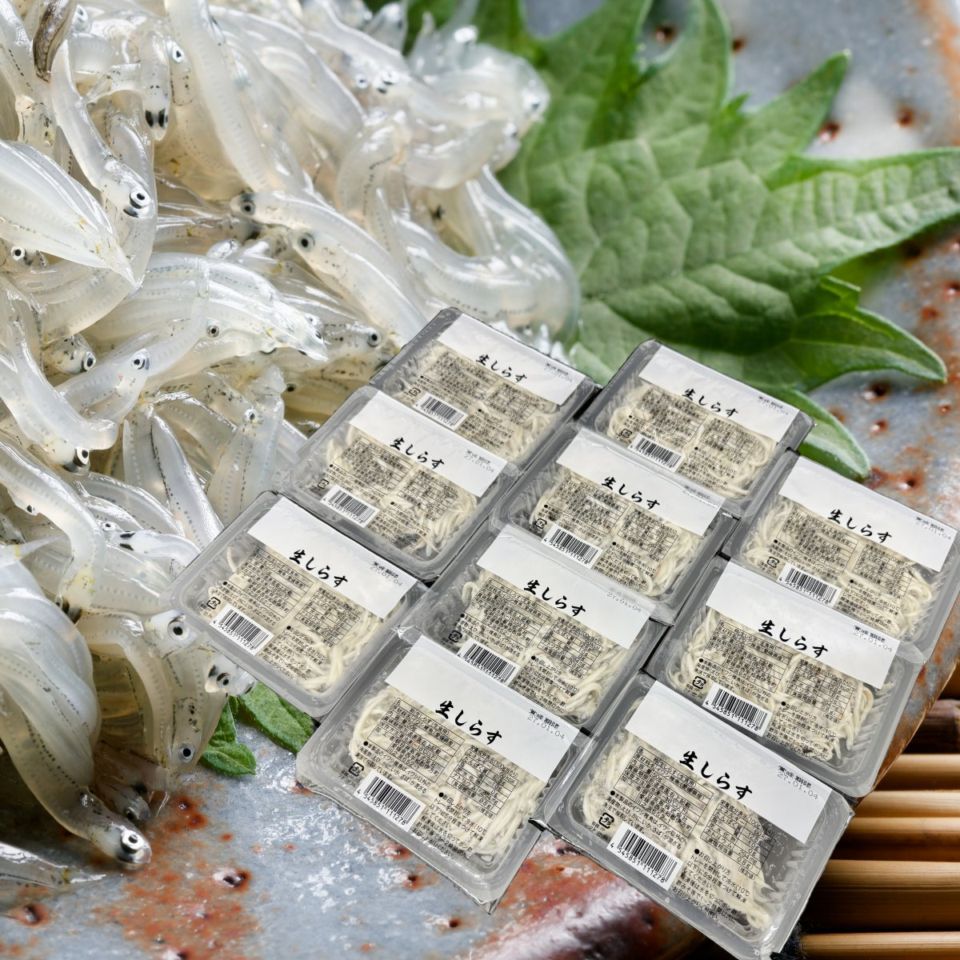 網元直送！水揚げ1時間加工　生しらす　500g(50gx10)【送料無料】お取り寄せ ギフト　毎日の食卓　のし対応