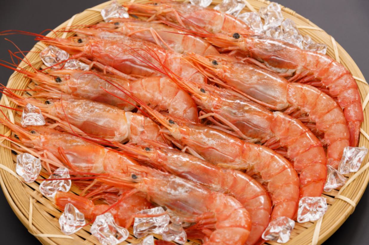 ���٤ε������를������ֳ�Ϸ��2���