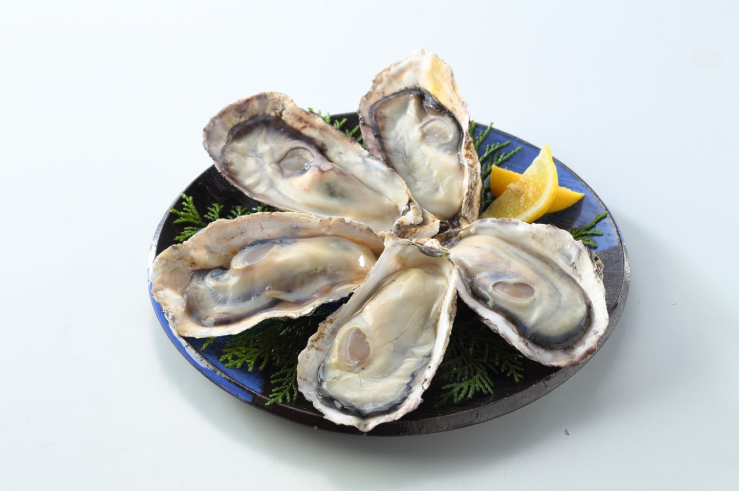 �����ѡ����դ�����