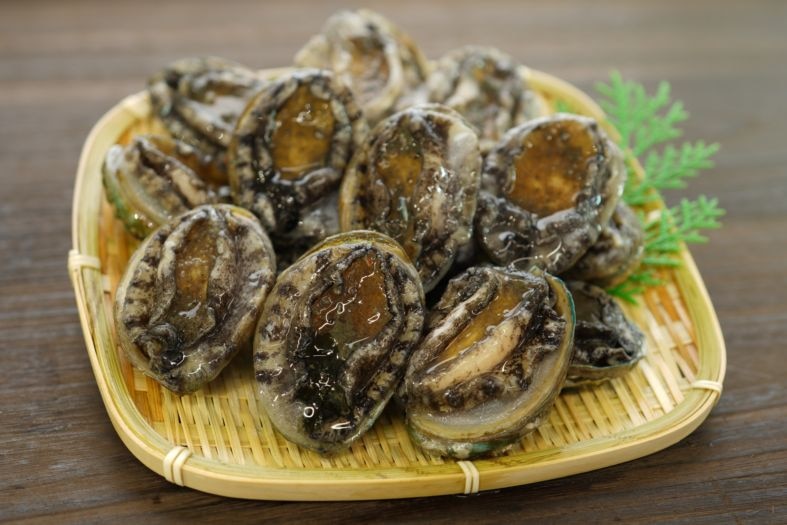 ����� �ǿ��Ʒ��(14����)