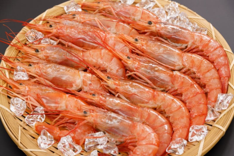 ���를������ֳ�Ϸ