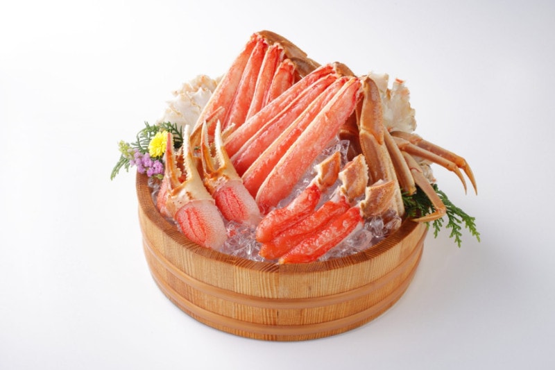 Ķ示襤ˤˤ֥åȡ2.4