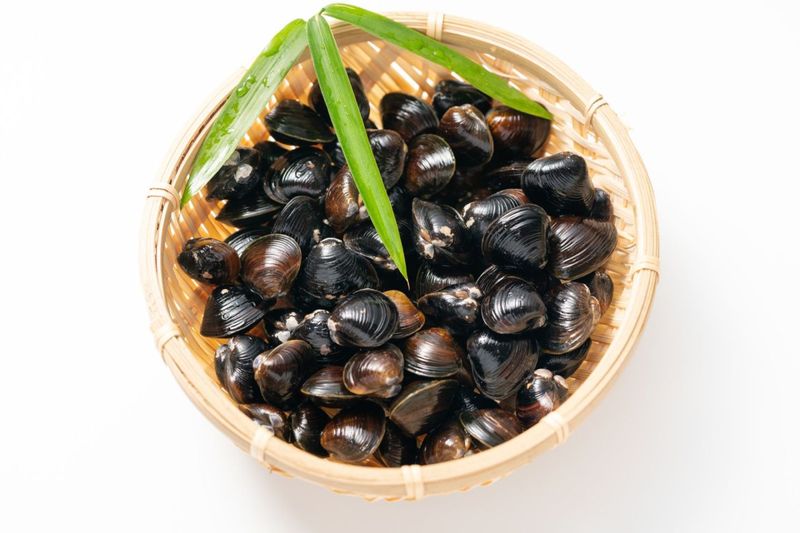 ��ƻ�л��������ߡʺ�ȴ���ѡ�