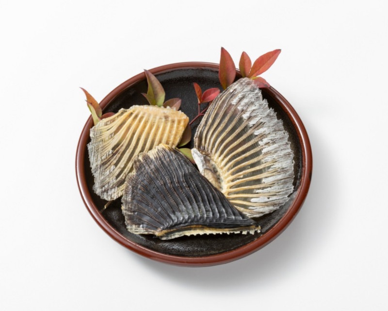 �ȥ�դ������ҥ�