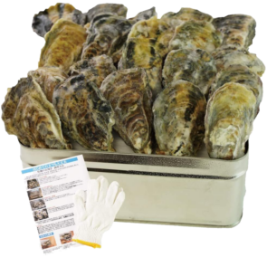 ���դ������ڤ��󤫤�Ƥ���1.5kg