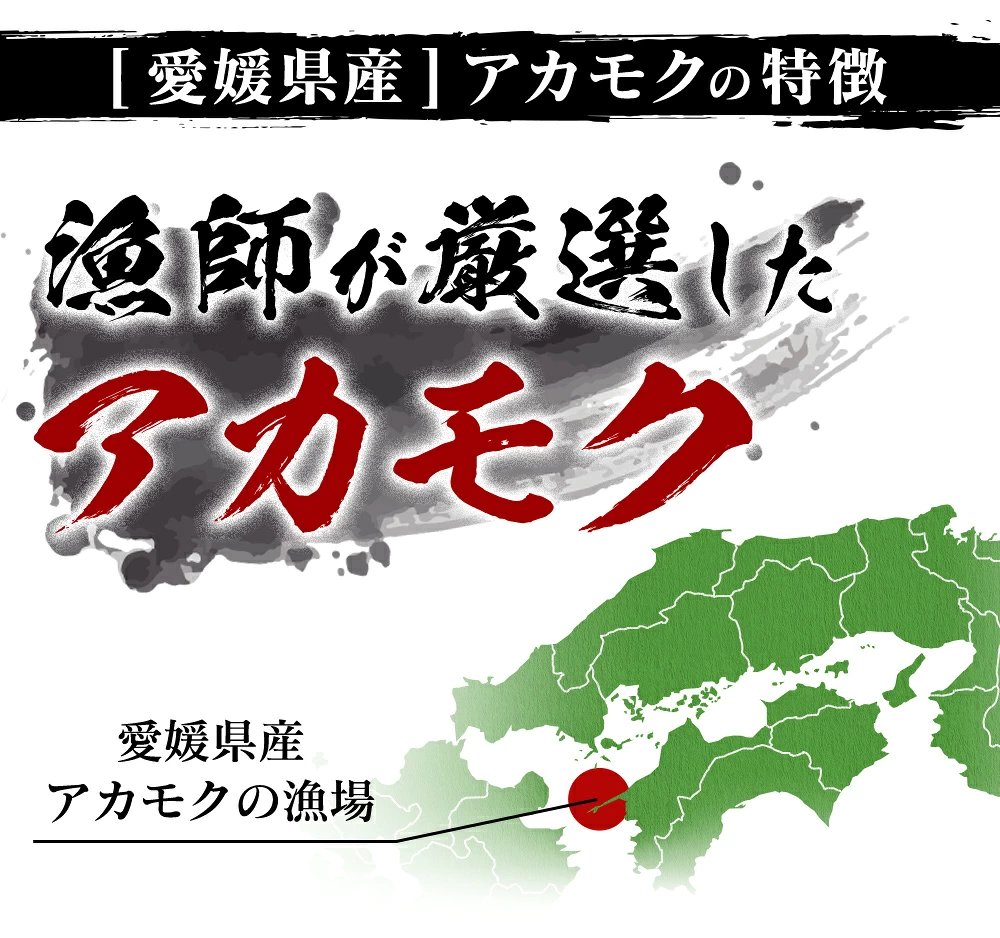 海の自然薯！愛媛県産あかもく　焼きあごだし味　3段パック（90g）×12P【送料無料】お取り寄せ　ギフト　毎日の食卓　のし対応