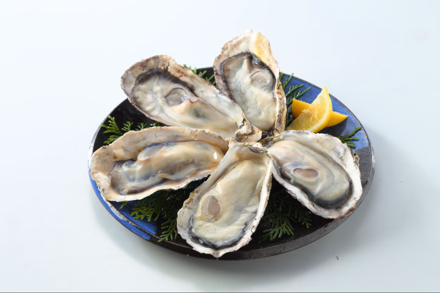 採れたて新鮮！国産生食用の殻付き生牡蠣　12個入り【送料無料】お取り寄せ　ギフト　御祝　のし対応
