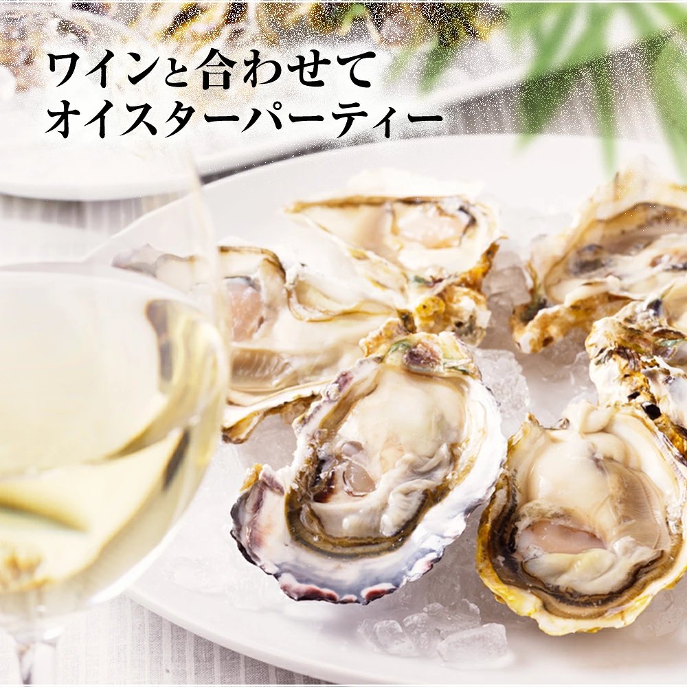 採れたて新鮮！国産生食用の殻付き生牡蠣　12個入り【送料無料】お取り寄せ　ギフト　御祝　のし対応