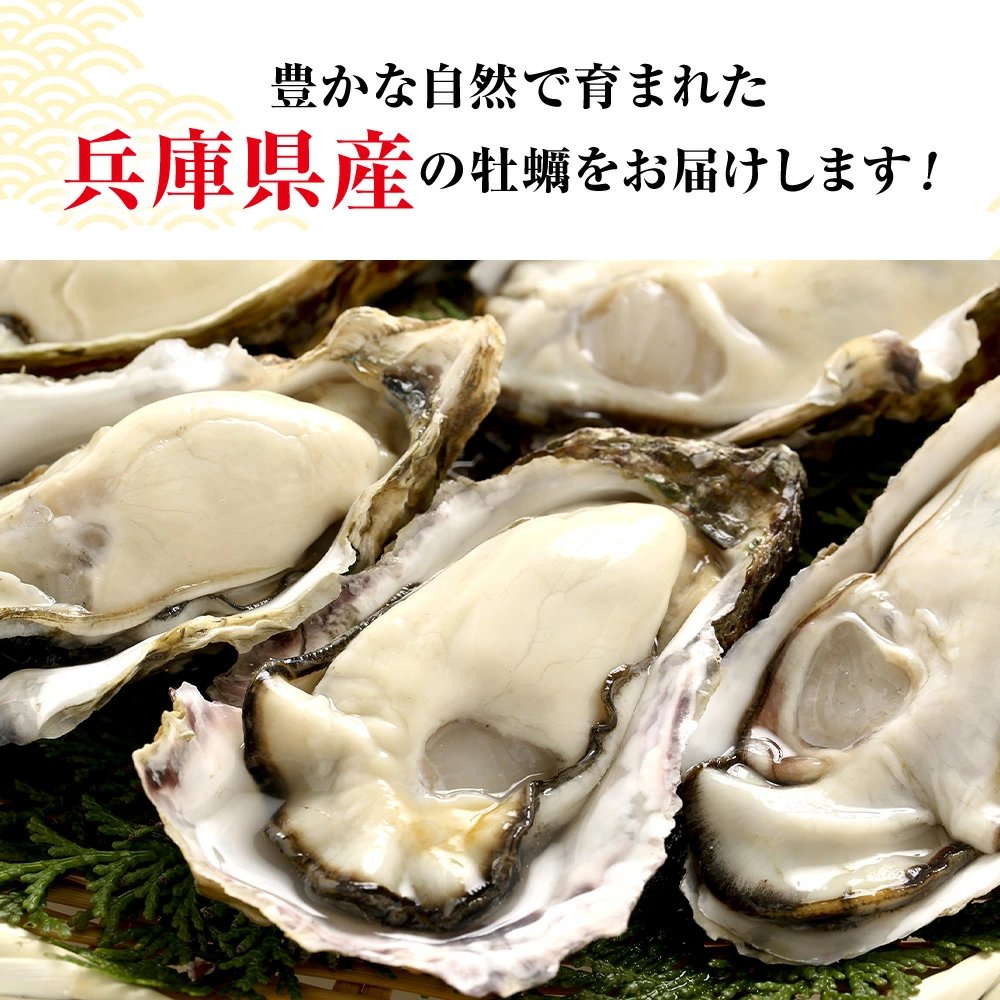 兵庫県室津産殻付き牡蠣カンカン焼きセット　1.5kg【送料無料】お取り寄せ　ギフト　のし対応
