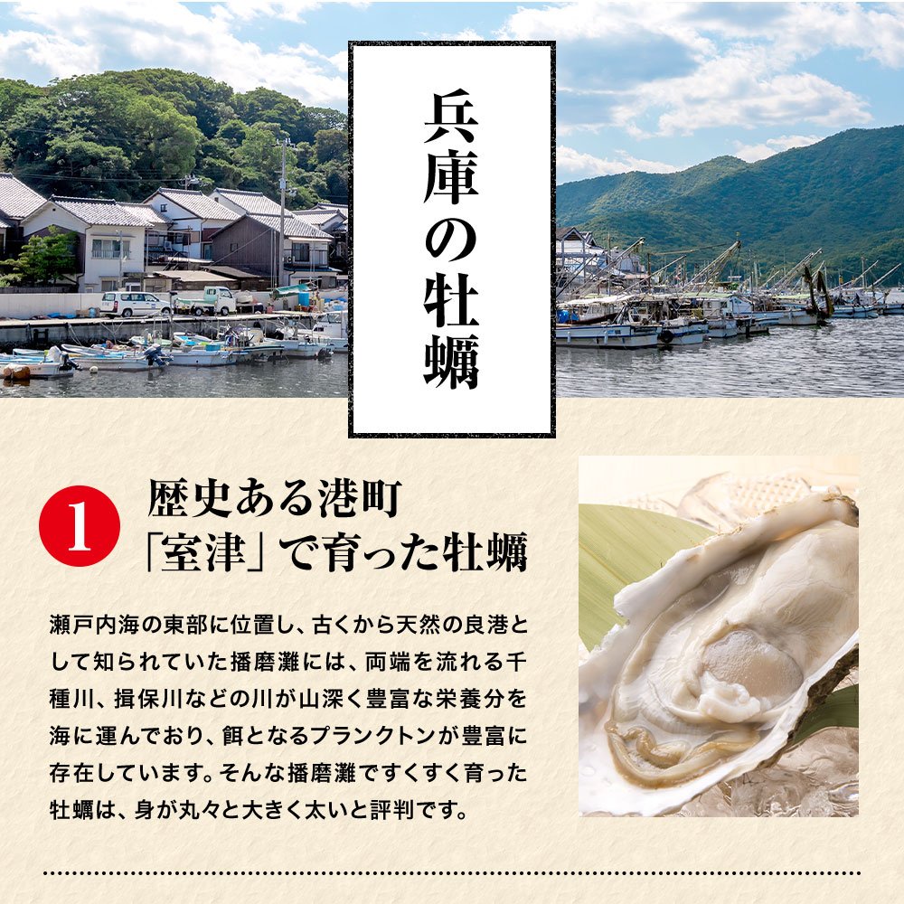 兵庫県室津産殻付き牡蠣カンカン焼きセット　1.5kg【送料無料】お取り寄せ　ギフト　のし対応