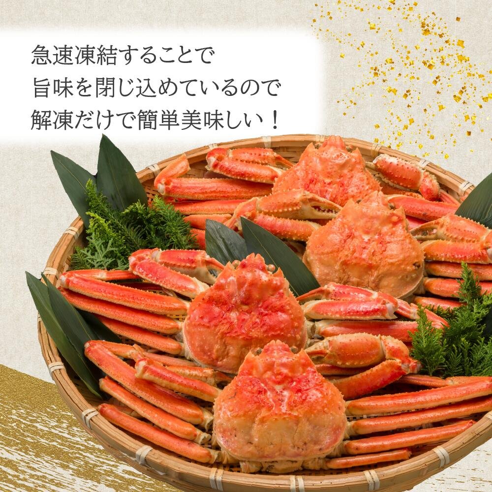 身入り8割以上！カナダ産ボイルずわいがに姿　3kg（5～7尾）【送料無料】お取り寄せ　ギフト　のし対応