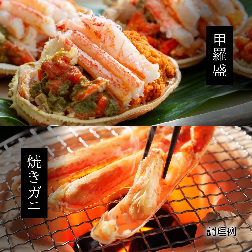身入り8割以上！カナダ産ボイルずわいがに姿　3kg（5～7尾）【送料無料】お取り寄せ　ギフト　のし対応