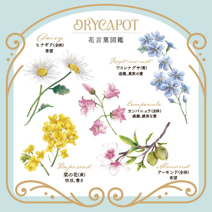 �ɥꥫ�� 14�硡�ݥ������ɤȥޥ����ߥ��ʥåĤΥ��å���
