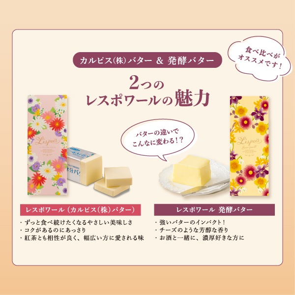 �ڴ��ָ���ۥ쥹�ݥ�뿩����٥��å� 12WB����2�ĤΥХ�����̣�ΰ㤤��ڤ�������̤ʥ��å�