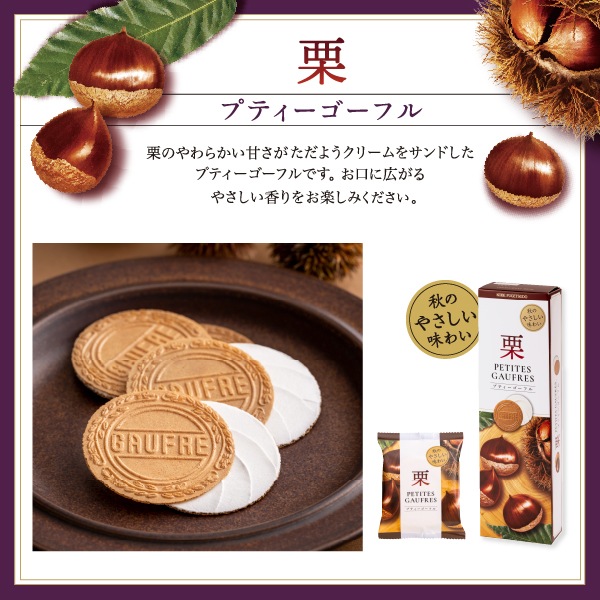 �ڴ��ָ���ۥץƥ��������ե� �� 7B���ݷ��δŤ������褦���꡼��ȥ����������ϤΥ���ܥ졼�����