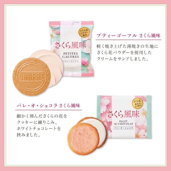 �ץƥ������ѥ쥻�å� ��������̣ 15B���ݡ֥ץƥ��������ե� ��������̣�פȡ֥ѥ졦�������祳�� ��������̣�פΥ������ĥ��å�