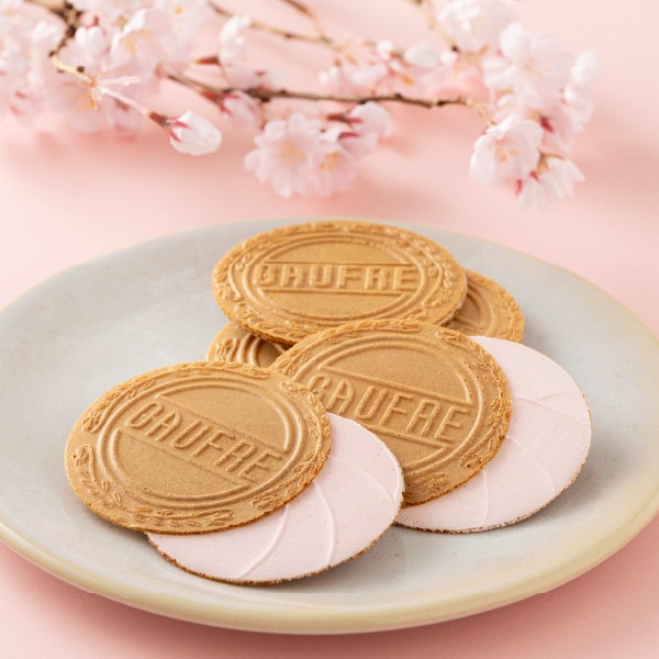 �ץƥ������ѥ쥻�å� ��������̣ 15B���ݡ֥ץƥ��������ե� ��������̣�פȡ֥ѥ졦�������祳�� ��������̣�פΥ������ĥ��å�