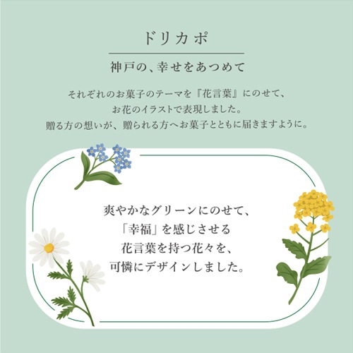 �ɥꥫ�� D18SN���ݥ������ɤȥޥ����ߥ��ʥåĤΥ��å���