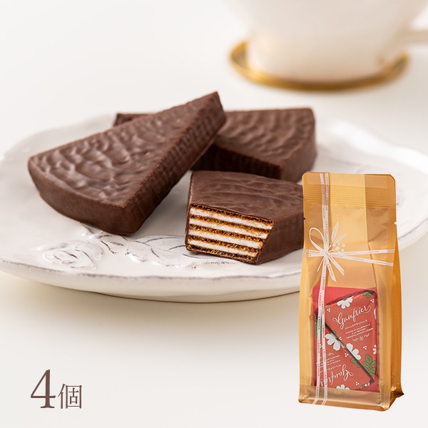 ե졼 G4FN 4ġݥߥեȥ祳Ĵ¤