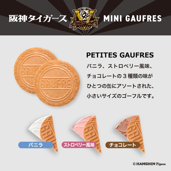 ڿ̸ۺ꡼ͥǰ ߥ˥ե3 2025ǯ꡼ͥȵ90ǯǰߥ˥ե3̥å