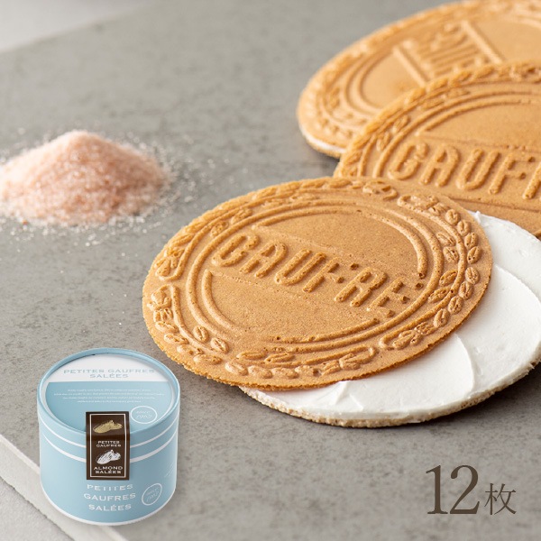 ץƥե  8B ɡݥ꡼˱Ѥ̣