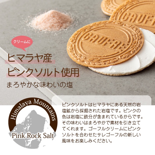 ץƥե  8B ɡݥ꡼˱Ѥ̣