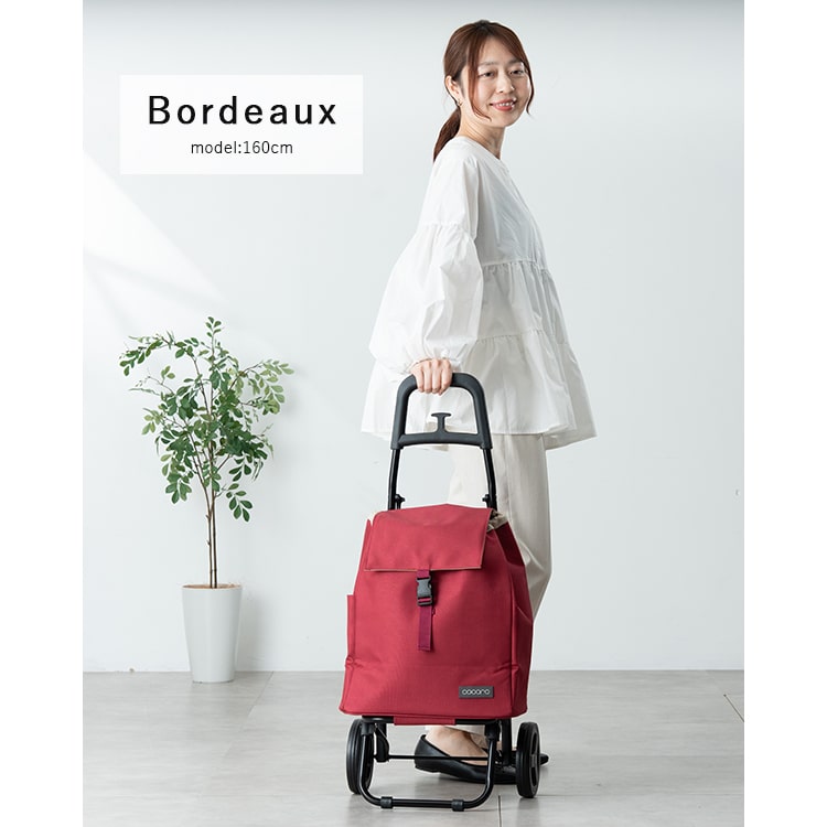 ショッピングカート cocoro 折りたたみ 保冷 保温 25l 軽量 買い物バッグ おしゃれ かわいい 大人 コンパクト レジャー アウトドア シンプル 無地 大容量 プレゼント ギフト