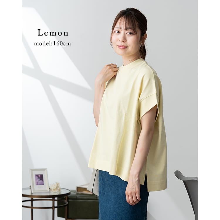 tシャツ レディース 半袖 無地 コットン 綿100% ヘビーウェイト プルオーバー 生地厚め クルーネック ゆったり 大きめ おしゃれ カジュアル シンプル ボトルネック M L