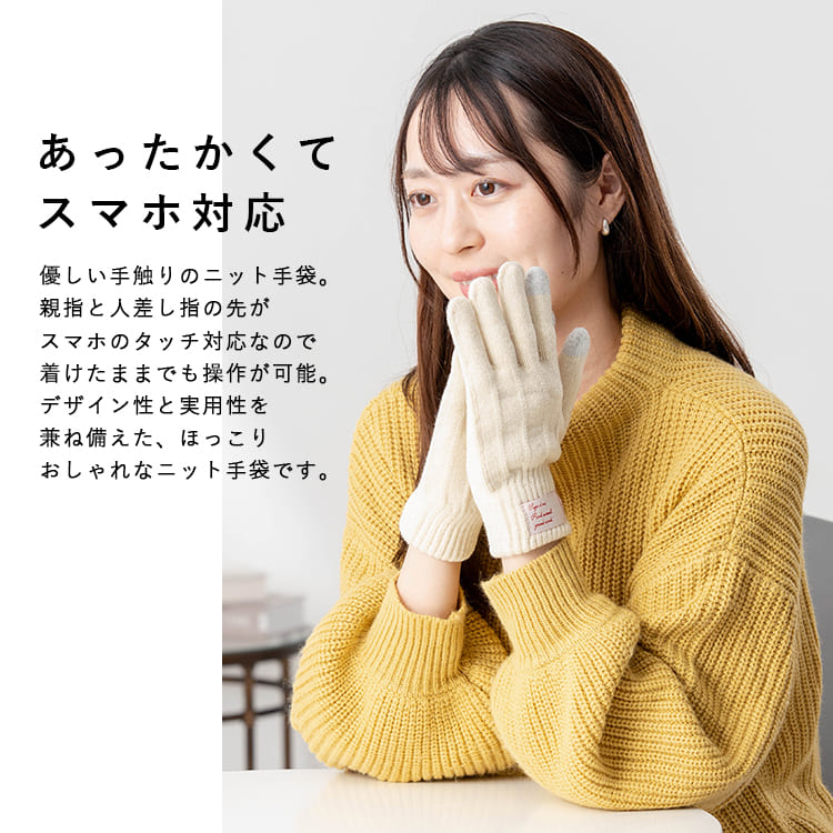 手袋 レディース スマホ対応 裏起毛 暖かい あったか ニット 防寒