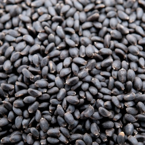 Х륷 500g (1)  ɻ Sweet Basil Seeds ȥХ륷