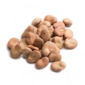 Ʀ  γ 1kg/1000g ޥ,եХӡ,Faba Beans,̳,ͥѥ,,,,ɥ饤,Soybean,ͥѥ¨ȯϸ9:30