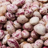 ������Ʀ 500g Pint Bean