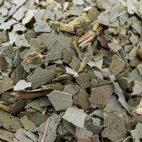 ユーカリプタス 500g Eucalyptus