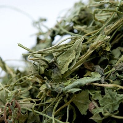 ƥ 100g Kasoori Methi Leaf Fenugreek leaf ե̥꡼꡼ ¨ȯϸ9:30