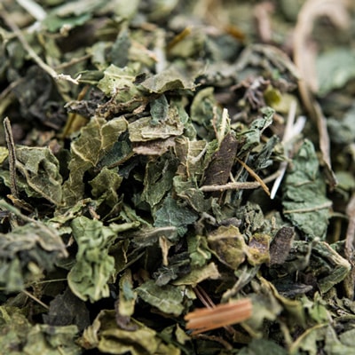 �ͥȥ�꡼�� 250g Nettle Leaf