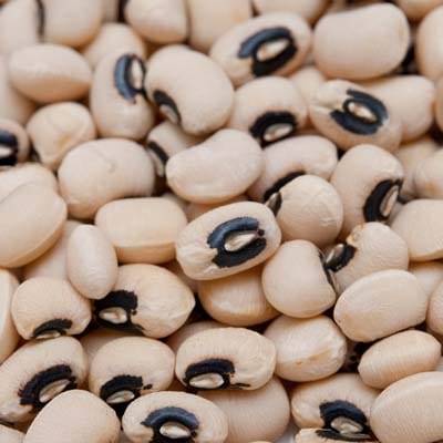 ֥åӡ 500g,̳,ͥѥ,Ʀ,ۥ磻ȥӥ,White Lobia,Ʀ,Ʀ,ӥ,Black eye beans,Lobia,졼,,㥦