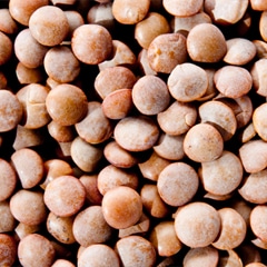 レンズ豆 皮付き1kg / 1000g,,業務用,神戸スパイス,豆,ヒラマメ