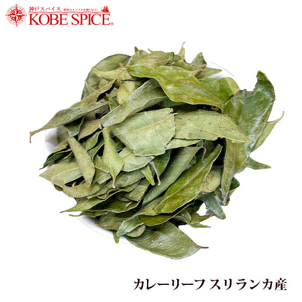 ���졼�꡼�� �����󥫻� �������� Curry Leaf ��¨��ȯ���ϸ���9:30��