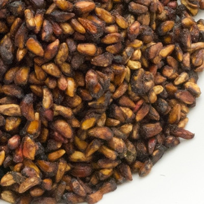 祶μ 500g,Anar Dana,,,,ڥ,,ꥢ,ѥ,ϡ,Ĵ̣,̳,ͥѥ