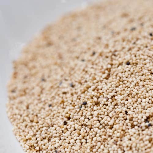 ポピーシード 250g Poppy Seeds メール便