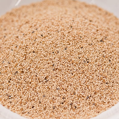 ポピーシード 250g Poppy Seeds メール便