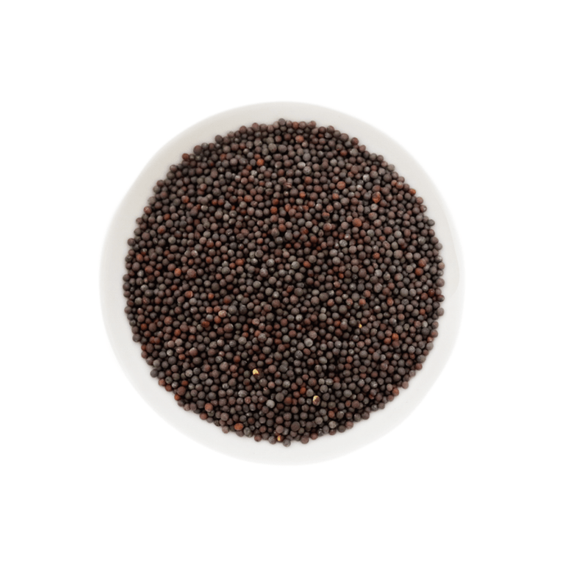 ブラウンマスタードシード 500g Brown Mustard Seeds