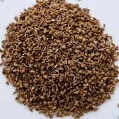 󥷡 100g,ͥѥ,Ajwain Seeds,̳,ͥѥ,,,,,ڥ,,ꥢ,ѥ,ϡ,Ĵ̣,¨ȯϸ9:30