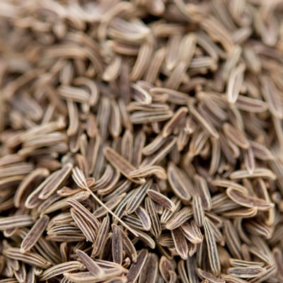 륯ߥ󥷡 1kg / 1000g,̳,ͥѥ,,Jeela,,LoyalCumin Seeds,,ߥ,,϶,ѥ,衼ɥ,